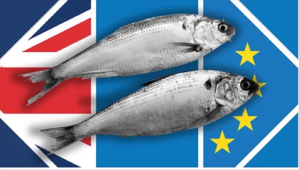 Năm 2022 chứng kiến những thay đổi mới đối với thương mại thủy sản EUVương quốc Anh
