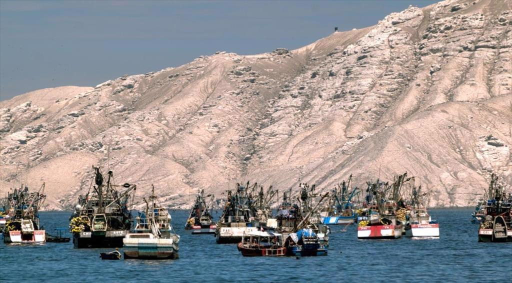 Peru xuất khẩu thủy sản năm 2021 tăng 39 nhờ cá cơm 