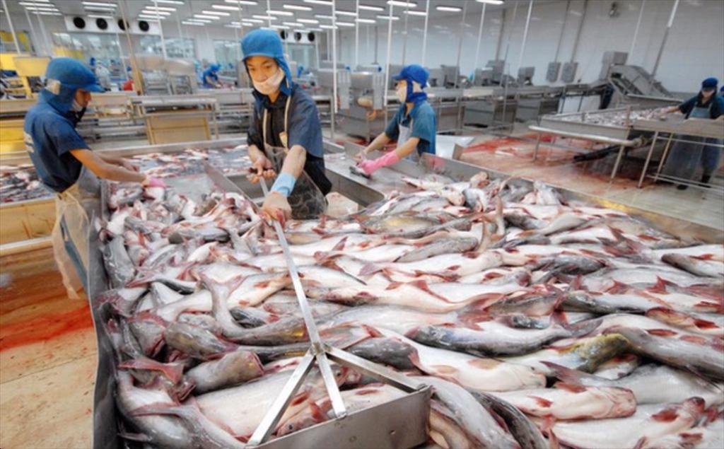 Thistle Seafoods Anh không nên đơn phương áp thuế cá thịt trắng Nga