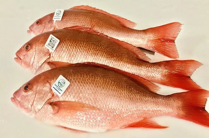 Australia Nhiều gia đình sẽ phải bỏ cá khỏi thực đơn vì giá quá cao