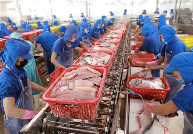Xuất khẩu cá tra sang Trung Quốc tăng 107