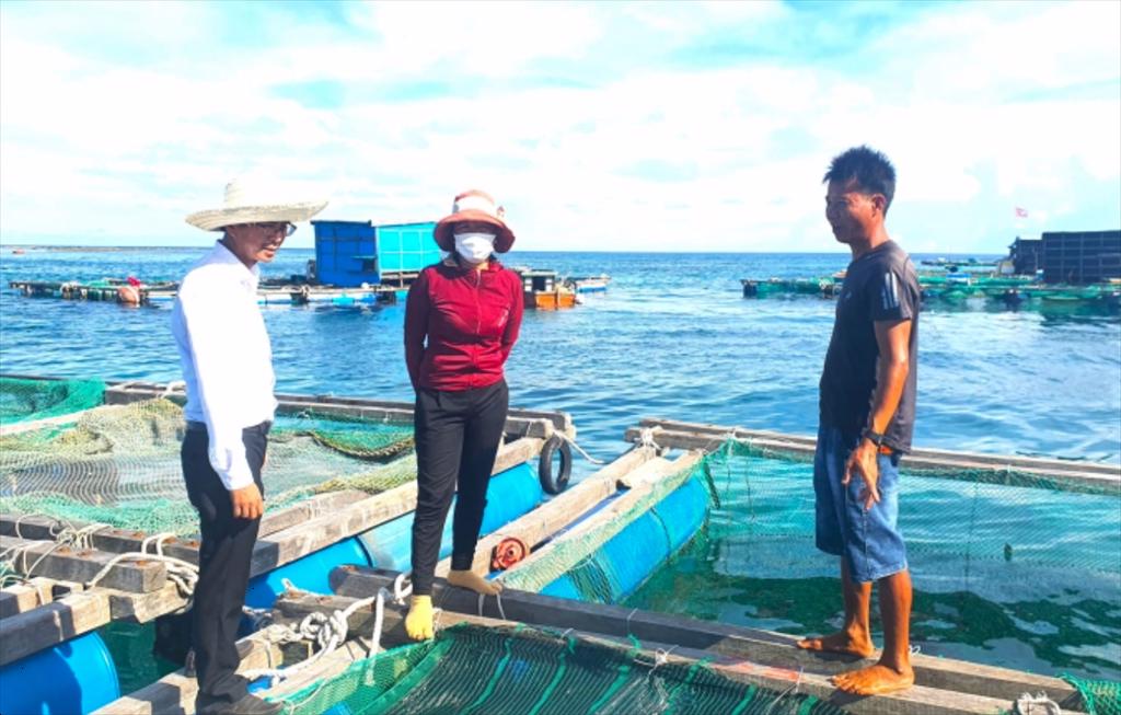 Nhờ nguồn vốn Agribank ngư dân Lý Sơn nuôi cá biển lãi hàng tỷ đồng