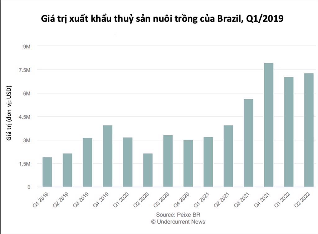 Xuất khẩu cá rô phi của Brazil sang Mỹ và Canada tăng vọt